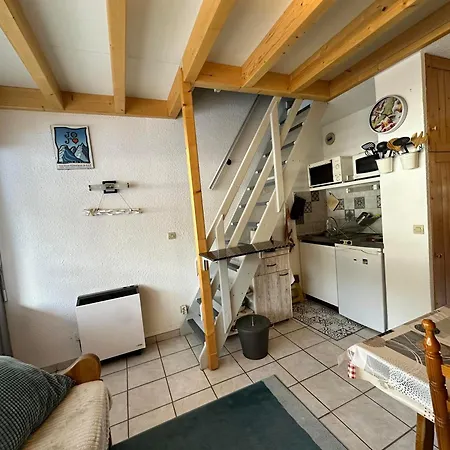 2 Pieces, Dernier Etage, Calme, Navette Ski, Ludiparc, Non-fumeur, Animaux Ok - Fr-1-515-113 Apartment